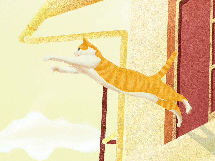 猫、獅子になる